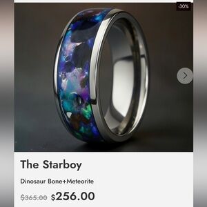 The Star Boy Ring for Men with Dinosaur Bone & Meteorite READ DESCRIPTION